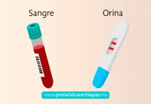 Que es la prueba de embarazo, sus tipos y funcionamiento Prueba de embarazo
